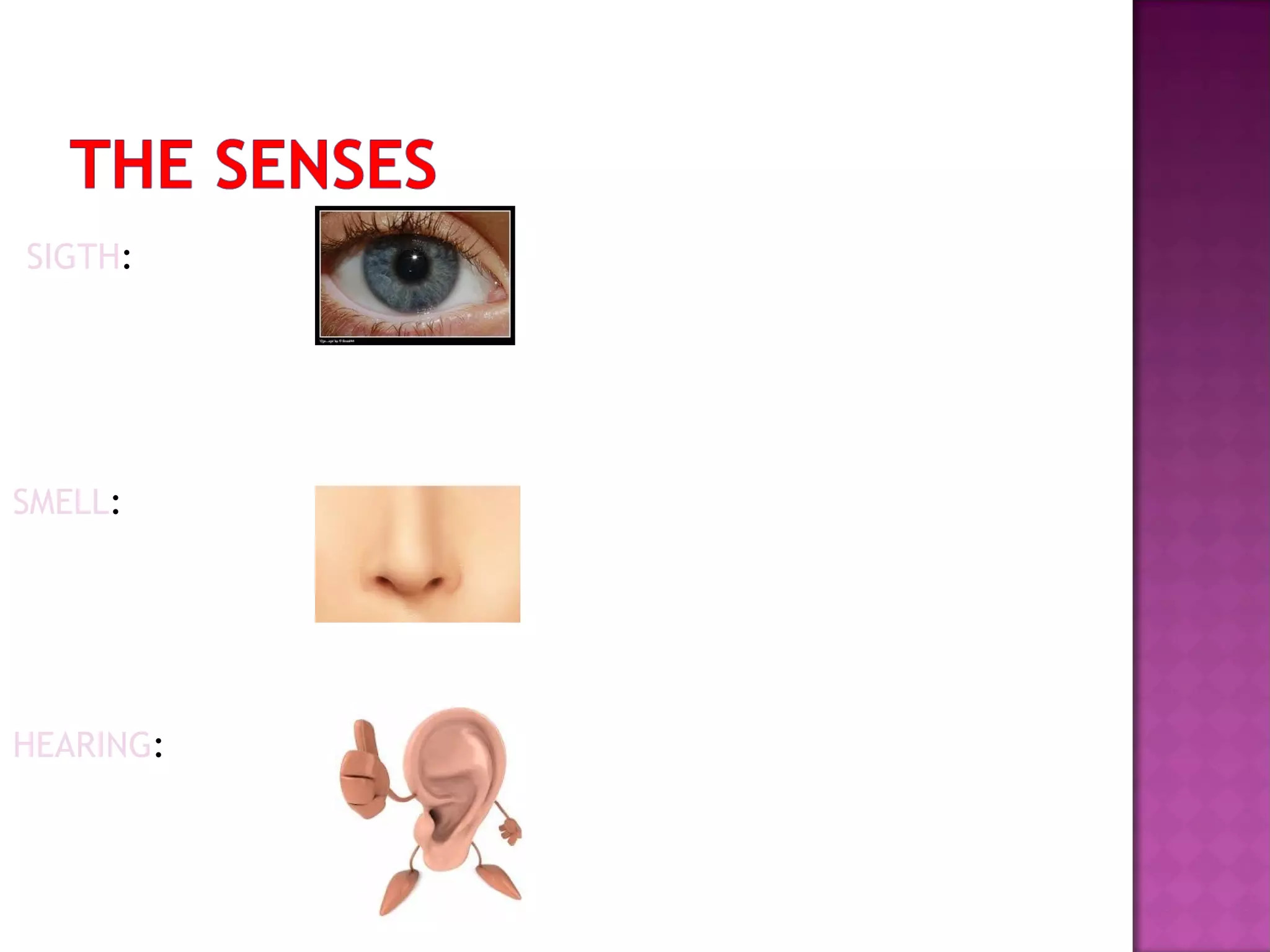 SIGTH:

SMELL:

HEARING:

 