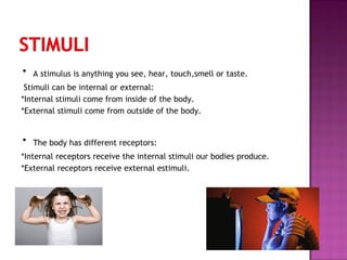 ·

A stimulus is anything you see, hear, touch,smell or taste.

Stimuli can be internal or external:
*Internal stimuli come from inside of the body.
*External stimuli come from outside of the body.

·

The body has different receptors:

*Internal receptors receive the internal stimuli our bodies produce.
*External receptors receive external estimuli.

 