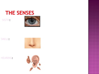 SIGTH:

SMELL:

HEARING:

 