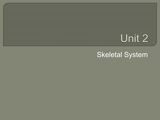 Skeletal System
 
