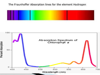Unit 2 spectrophotometry principle PPT.pptx