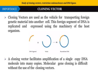 Study of cloning vectors (Biotechnology) | PPTX