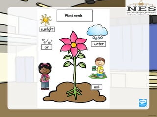 Getting to Know Plants (Grade 2)