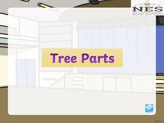Getting to Know Plants (Grade 2)