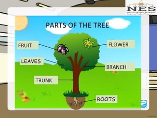 Getting to Know Plants (Grade 2)