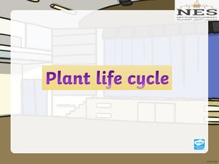 Getting to Know Plants (Grade 2)