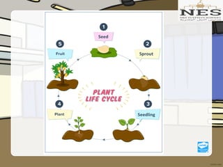 Getting to Know Plants (Grade 2)