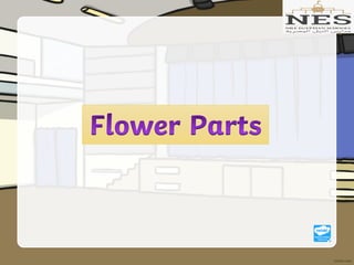 Getting to Know Plants (Grade 2)