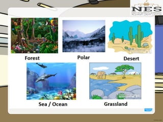 Getting to Know Plants (Grade 2)