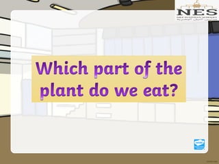 Getting to Know Plants (Grade 2)
