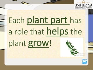 Getting to Know Plants (Grade 2)