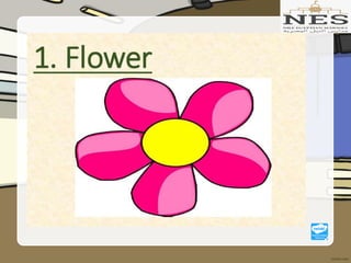 Getting to Know Plants (Grade 2)