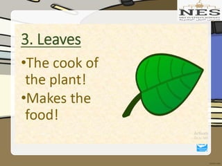 Getting to Know Plants (Grade 2)