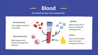 Comprehensive Overview of Human Body Systems and Their Functions | PDF