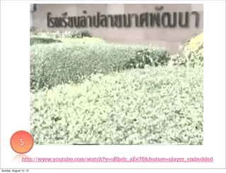 5
               http://www.youtube.com/watch?v=uRheh_aEe70&feature=player_embedded
Sunday, August 12, 12
 