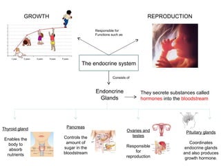 GROWTH

REPRODUCTION
Responsible for
Functions such as

The endocrine system
Consists of

Endoncrine
Glands

Thyroid gland

Pancreas

Enables the
body to
absorb
nutrients

Controls the
amount of
sugar in the
bloodstream

They secrete substances called
hormones into the bloodstream

Ovaries and
testes

Pituitary glands

Responsible
for
reproduction

Coordinates
endocrine glands
and also produces
growth hormone.

 