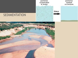 SEDIMENTATION
 