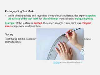 Photographing Tool Marks
• While photographing and recording the tool mark evidence, the expert searches
the surface of the tool mark for bits of foreign material using oblique lighting.
Example : If the surface is painted, the expert records if any paint was chipped
away and provides a description.
Tracing
Tool marks can be traced on a tracing paper. This helps in comparing the class
characteristics.
This Photo by Unknown Author is licensed under CC
BY-NC-ND
 