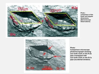 Photo:
Comparison microscope
photomicrograph showing
one tooth mark on the K-2a
pipe overlapped with
one tooth mark on the Q-1a
pipe (accidental striation)
Photo :
comparison of the
linear and angular
dimensions
(Steriomicrope
Observations)
 