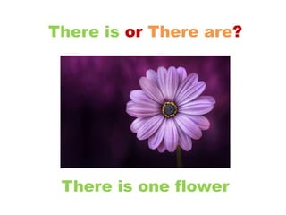 There is or There are?
There is one flower
 