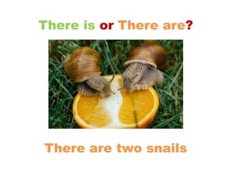 There is or There are?
There are two snails
 