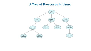 A Tree of Processes in Linux
 