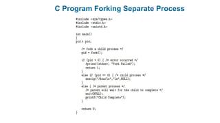 C Program Forking Separate Process
 