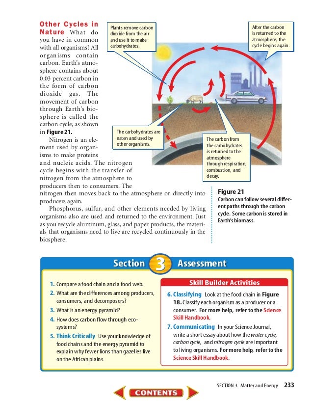 Essay on illness behavior