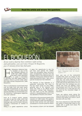 Read the article and answer the questions
 