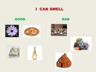 I CAN SMELL
GOOD
BAD
