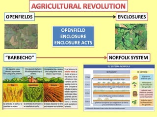 OPENFIELDS ENCLOSURES 
OPENFIELD 
ENCLOSURE 
ENCLOSURE ACTS 
“BARBECHO” NORFOLK SYSTEM 
 