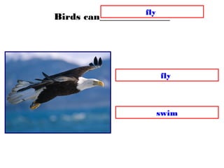 Birds can_______________
swim
fly
fly
 