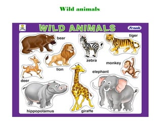 Wild animals
 