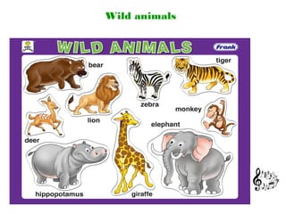 Wild animals
 