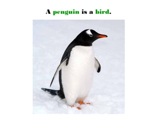 A penguin is a bird.
 
