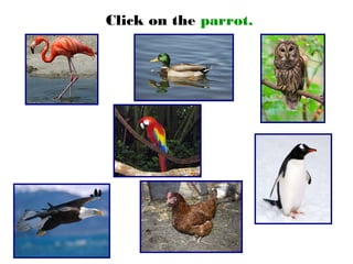 Click on the parrot.
 