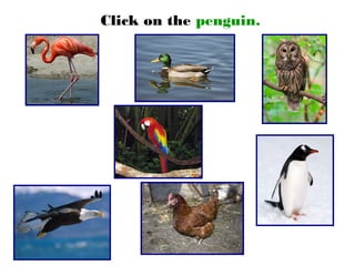 Click on the penguin.
 