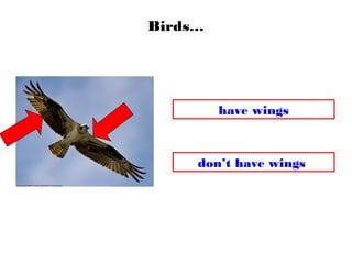 Birds…
have wings
don’t have wings
 