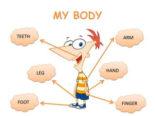 MY BODY
TEETH ARM
LEG HAND
FOOT FINGER
 