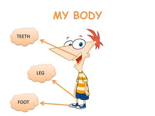 MY BODY
TEETH
LEG
FOOT
 