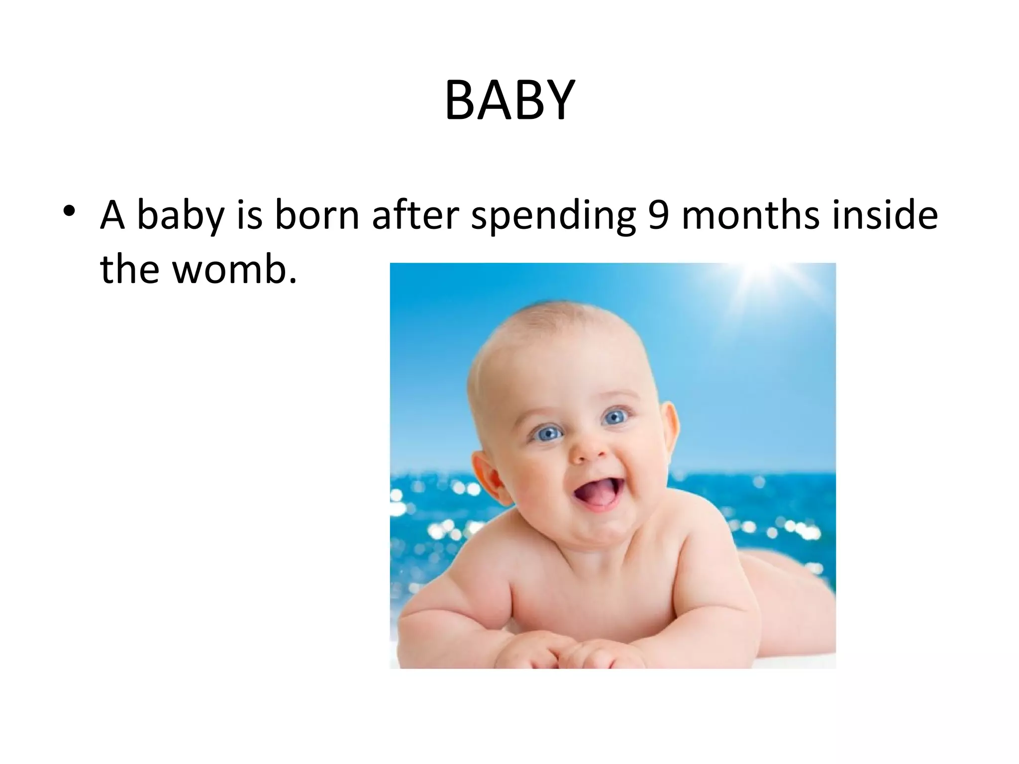 BABY
• A baby is born after spending 9 months inside
the womb.
 