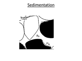 Sedimentation
 