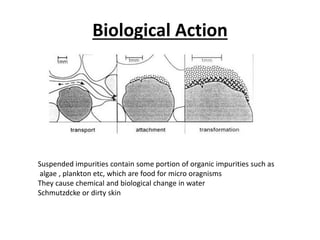 Biological Action
Suspended impurities contain some portion of organic impurities such as
algae , plankton etc, which are food for micro oragnisms
They cause chemical and biological change in water
Schmutzdcke or dirty skin
 