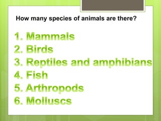 How many species of animals are there?
 