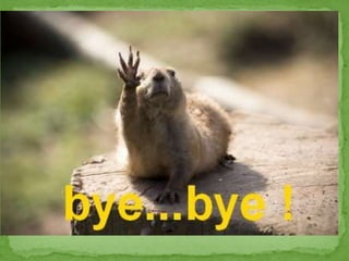 Unit 3. the animal kingdom