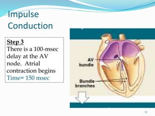 Impulse
Conduction
Step 3
There is a 100-msec
delay at the AV
node. Atrial
contraction begins
Time= 150 msec
13
 