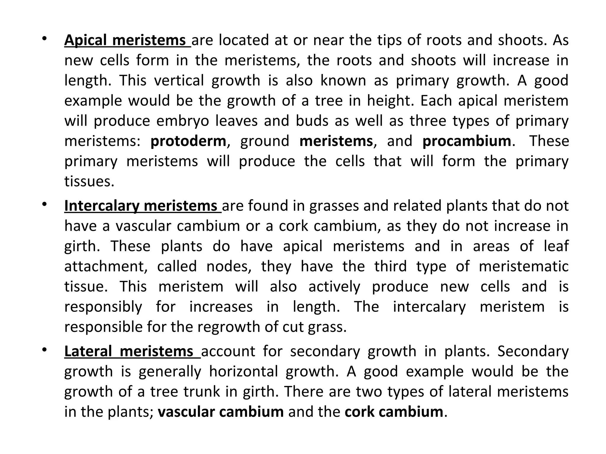 Parts of Plant, plant tissues, microscopy and morphology | PPT