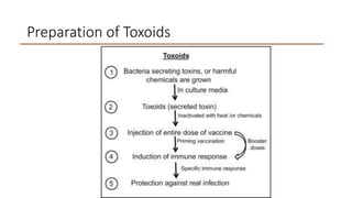 Preparation of Toxoids
 