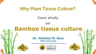 Bamboo tissue culture
Case study
Dr. Mafatlal M. Kher
GSFC University
Why Plant Tissue Culture?
on
1
 