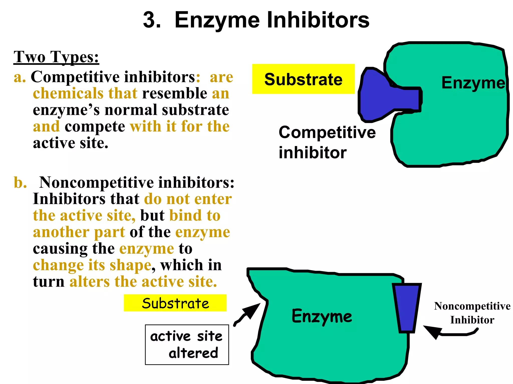 3. Enzyme Inhibitors
Two Types:
a. Competitive inhibitors: are
chemicals that resemble an
enzyme’s normal substrate
and compete with it for the
active site.
b. Noncompetitive inhibitors:
Inhibitors that do not enter
the active site, but bind to
another part of the enzyme
causing the enzyme to
change its shape, which in
turn alters the active site.
Enzyme
Competitive
inhibitor
Substrate
Enzyme
active site
altered
Noncompetitive
Inhibitor
Substrate
 